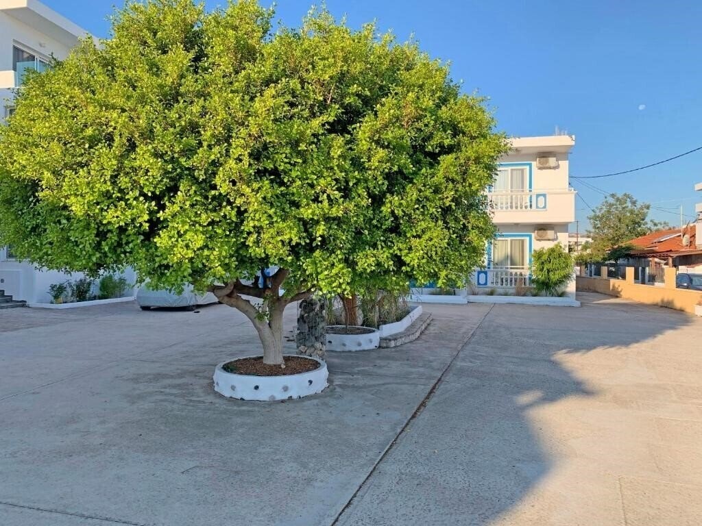 Фотографія Apollonio Studios 2*