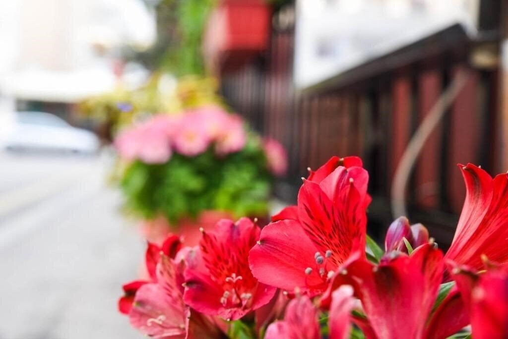 Фотографія Vassilia Hotel 2*