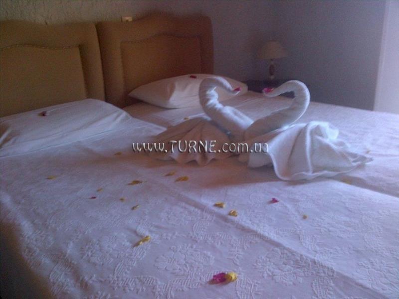 Obraz Virginia Hotel Samos 3*