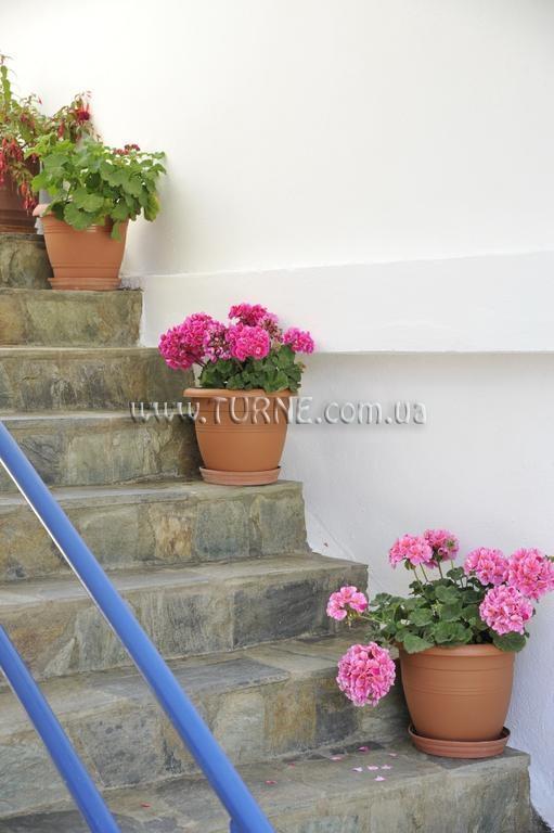 Zdjęcia Anemomilos Suites Fira 2*