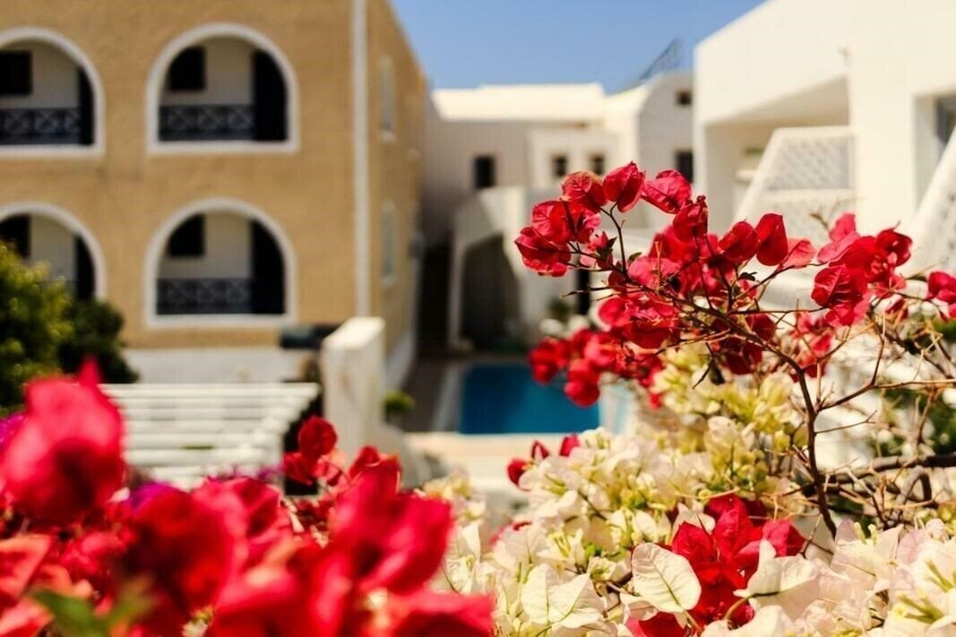 Zdjęcie Anthea Villas (ex. Villa Vergina) 3*