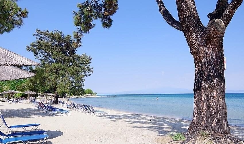 Zdjęcia Rachoni Amazing 3*