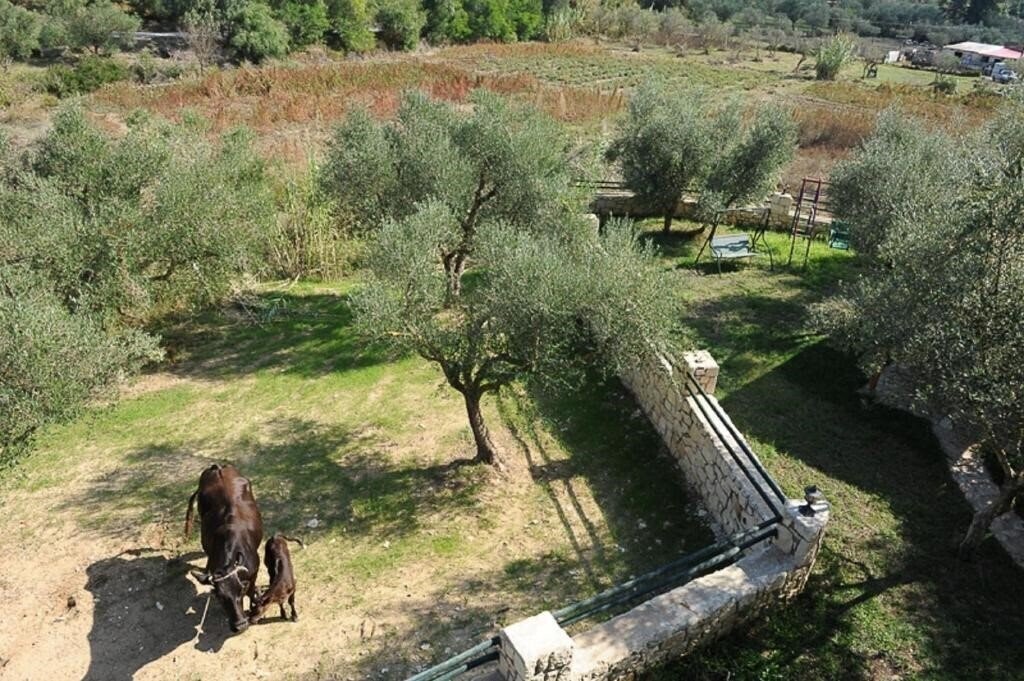 Фотография Ammos Villas 4*