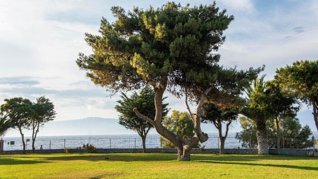 Hotel Punda 4 Seasons 3*