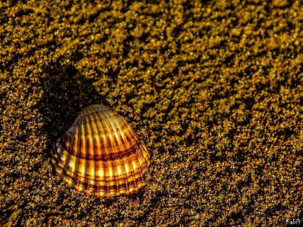 Zdjęcie Brati II Beach Hotel 2*