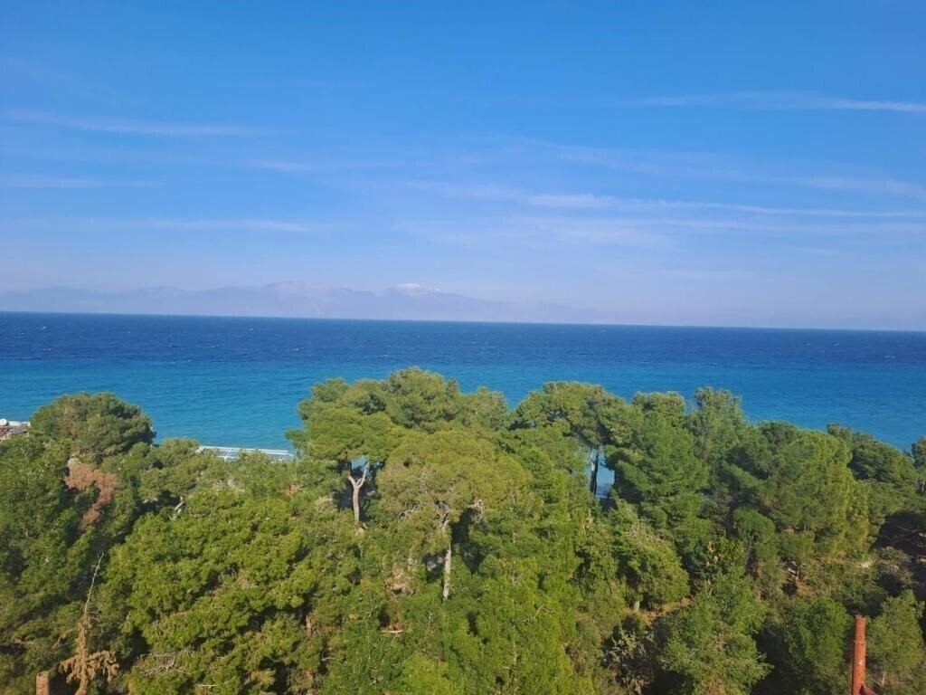 Zdjęcie Evita Blue 4*