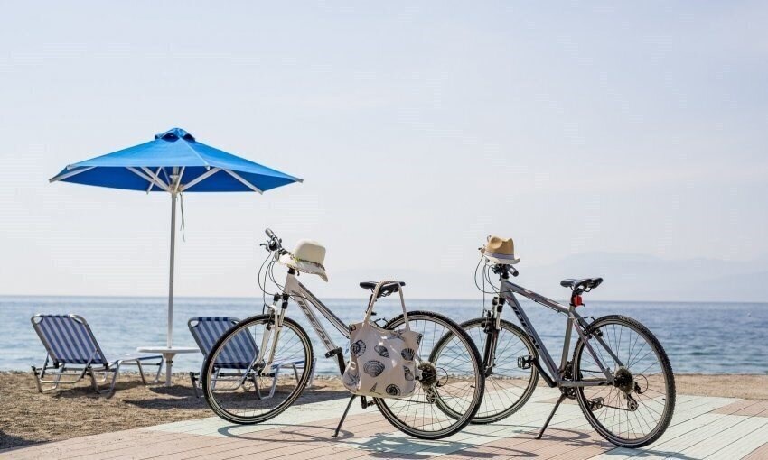 Obraz Delphi Beach 4*