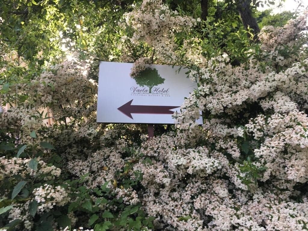 Obraz Vaela Pallas Cultural Resort & Spa 3*