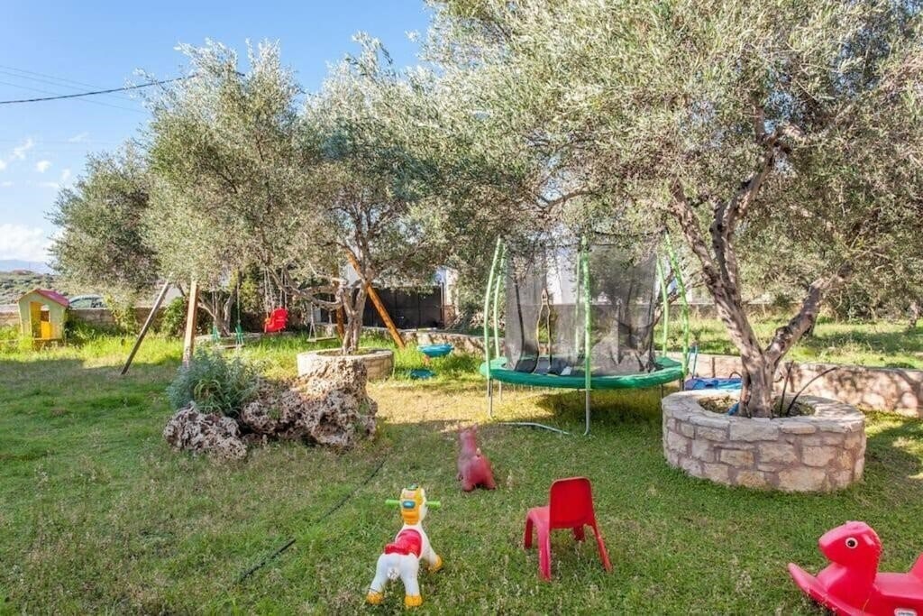 Zdjęcia Olive Tree Farm 3*