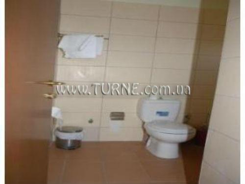 Зображення Rex 2*