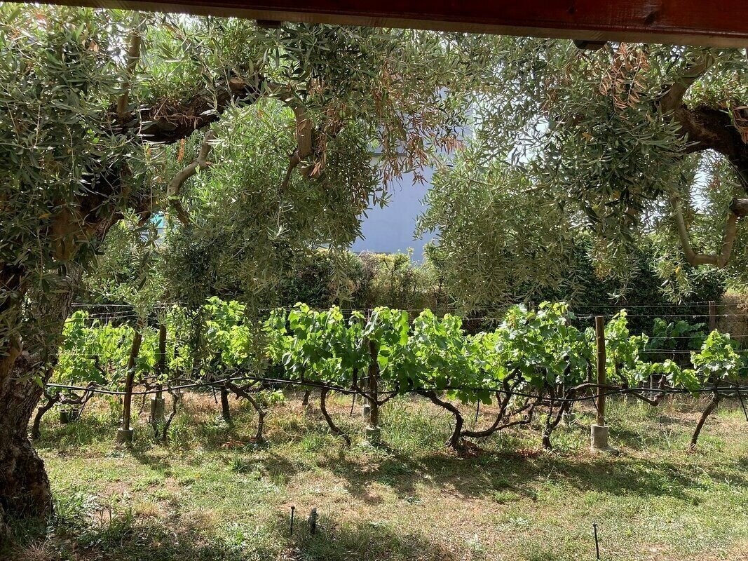 Зображення Marthas Haus 4*