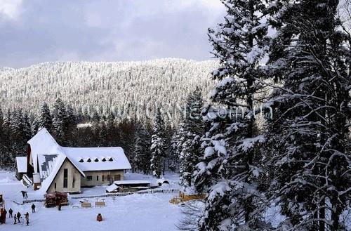 Zdjęcie Tetri Gedi 3*