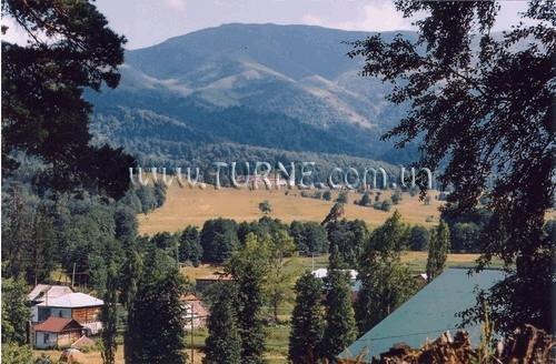 Zdjęcia Tetri Gedi 3*