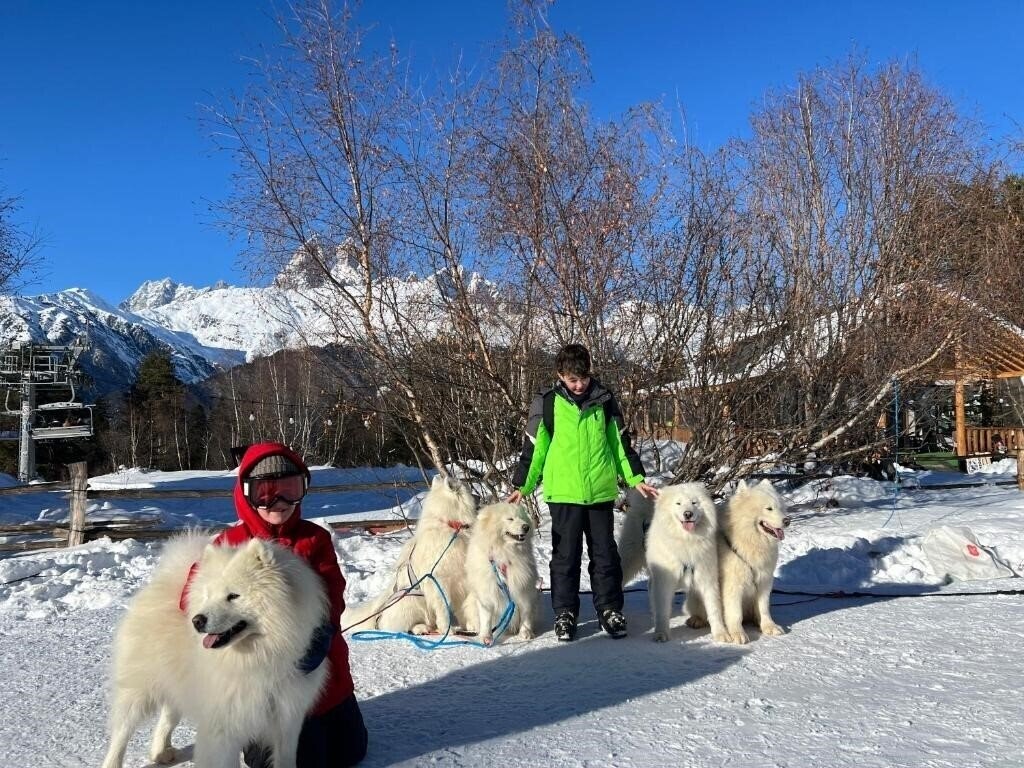 Hotel Hotel Shgedi Mestia 4*