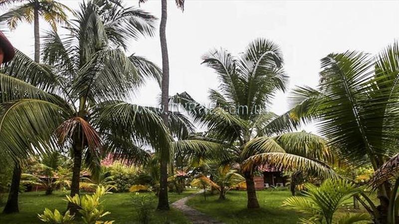 Zdjęcie Kondai Lip 2*