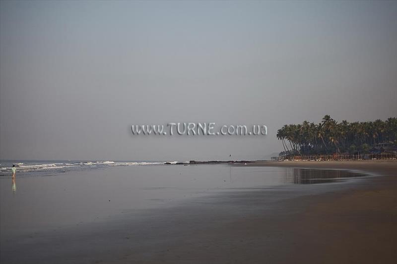 Zdjęcie Ecowoods Village Resort And Spa 3*