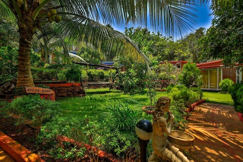 Фотографія Curlies Zulu Land Cottages 2*