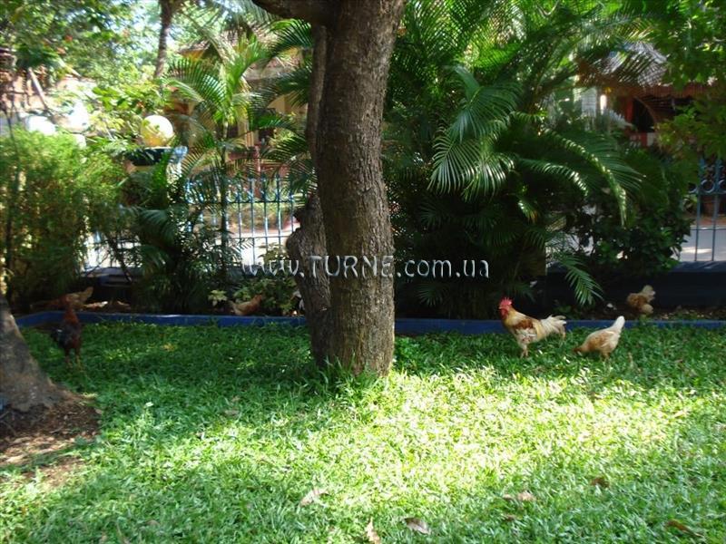 Zdjęcie The Quest Hotel 1*