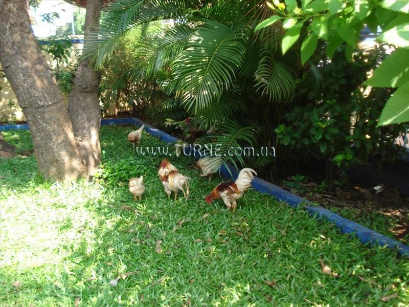 Obraz The Quest Hotel 1*