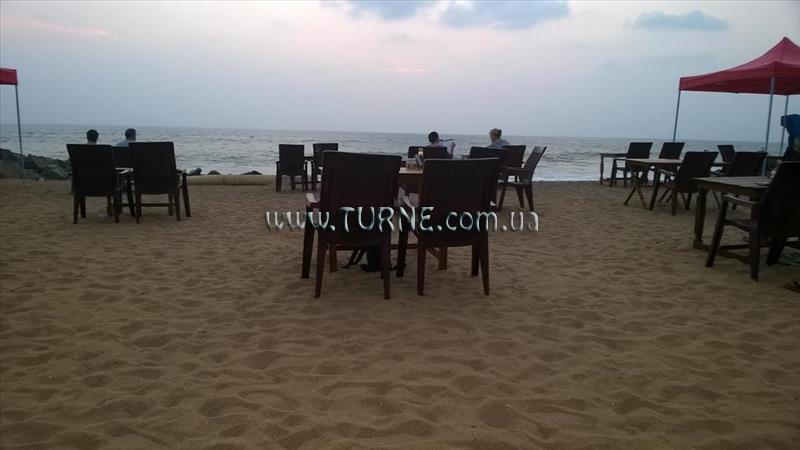 Zdjęcie Palm Tree Bungalow 4*