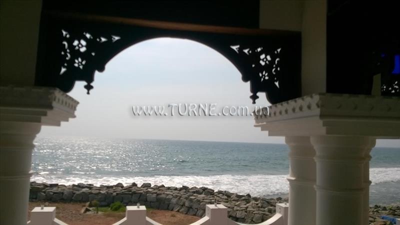 Zdjęcie Palm Tree Bungalow 4*