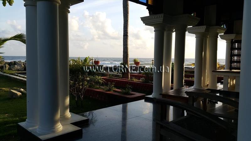 Zdjęcia Palm Tree Bungalow 4*