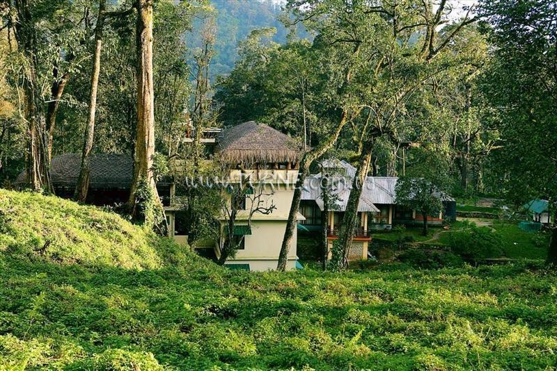 Zdjęcie Deep Woods Resort 3*