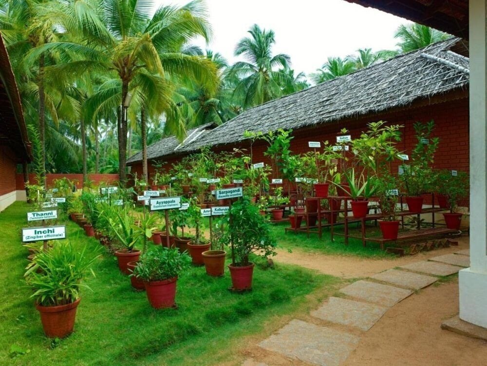 Фотография The Nattika Beach Resort 4*