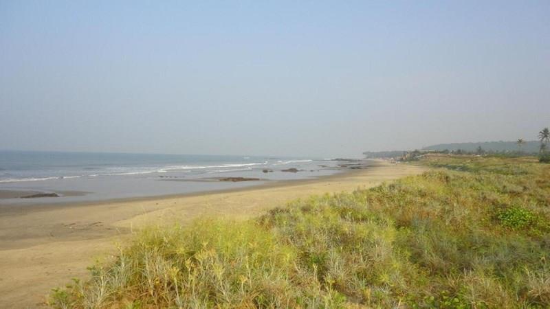 Зображення Bay Breeze Hotels & Resorts (ex. Morjim Grand Inn, New Morjim Club Resort) 3*