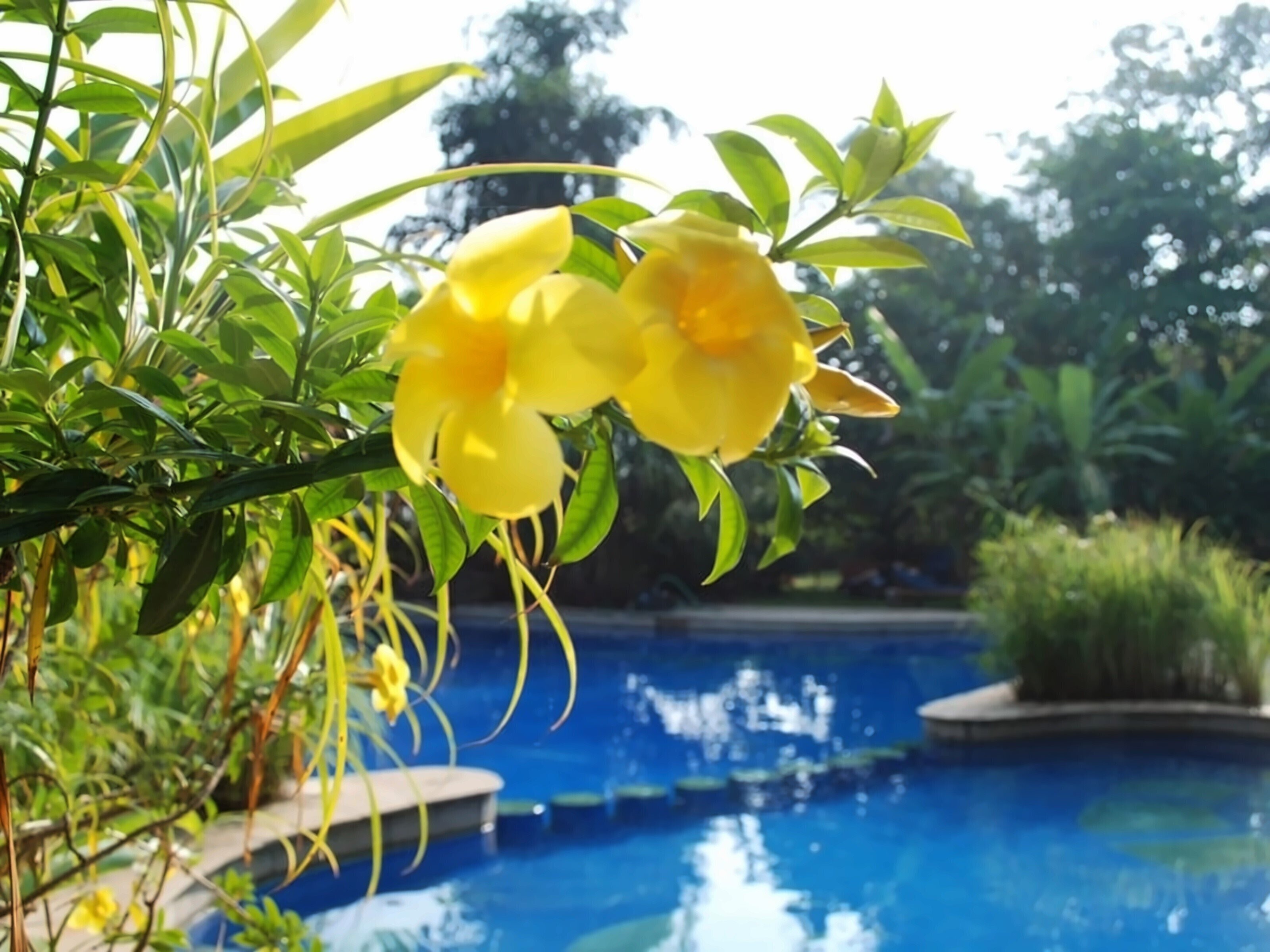Hotel Laguna Anjuna 3*