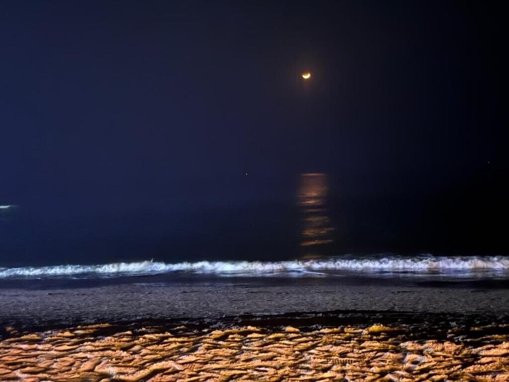 Zdjęcie Prima Guest House 1*