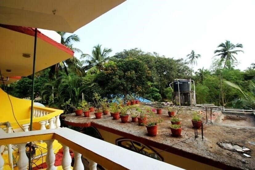 Zdjęcie Hotel Celjoan Beach Resort (ex. Celjoan Guest House) 1*