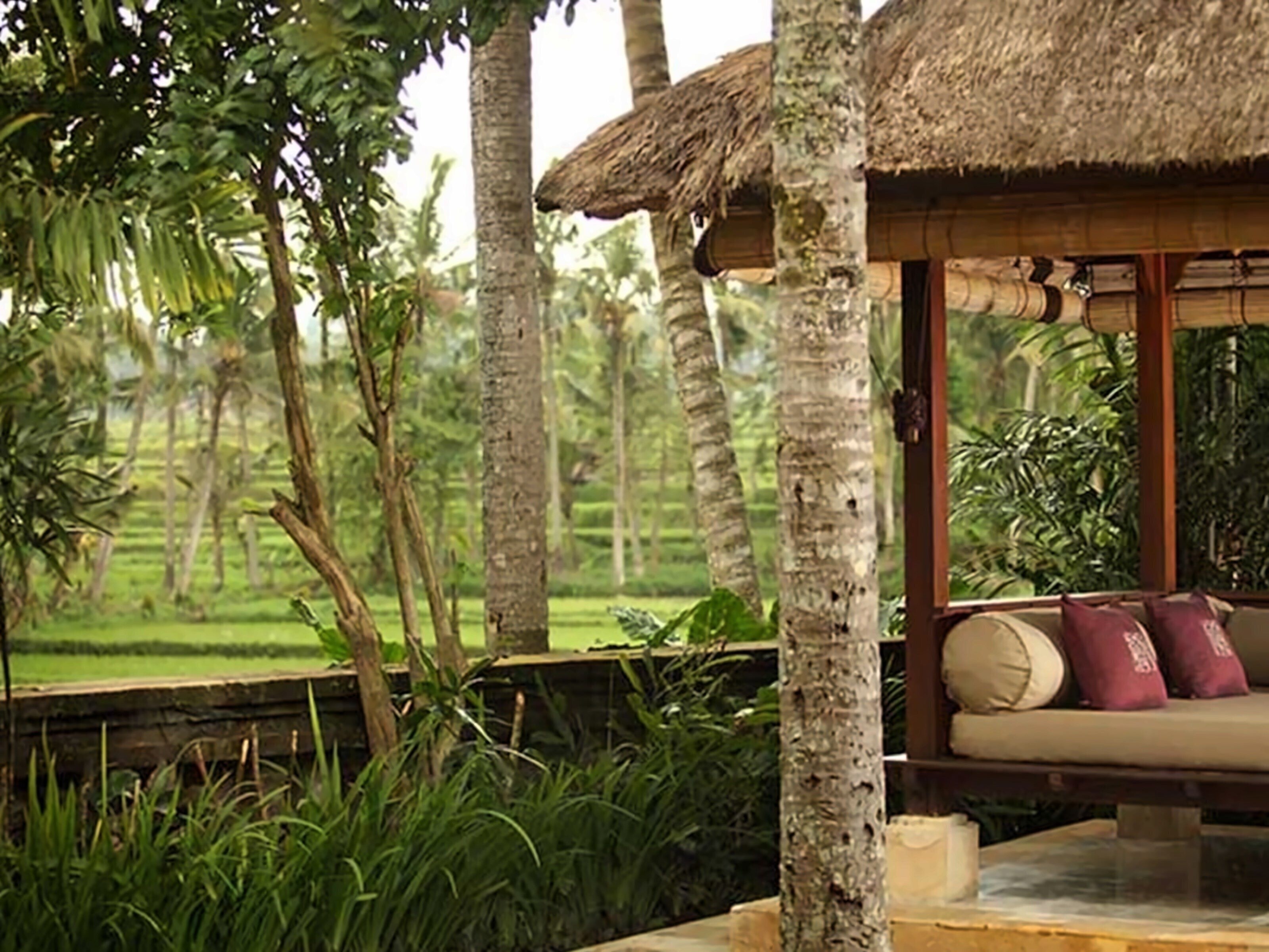 Obraz The Ubud Village Hotel at Monkey 3*
