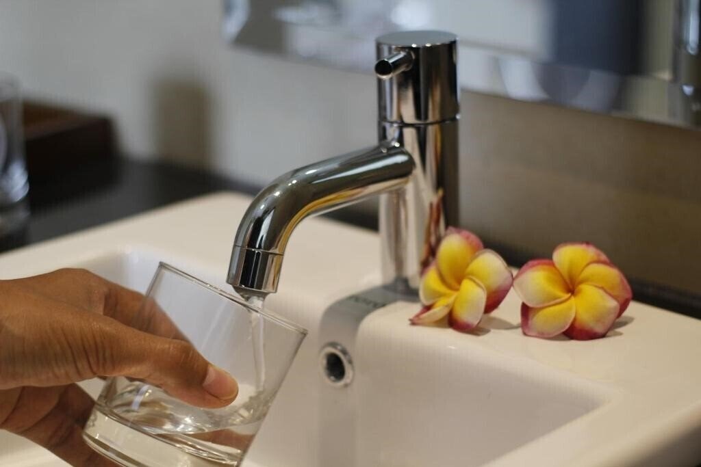 Фото The Evitel Resort (ex. The Evitel Resort) 4*