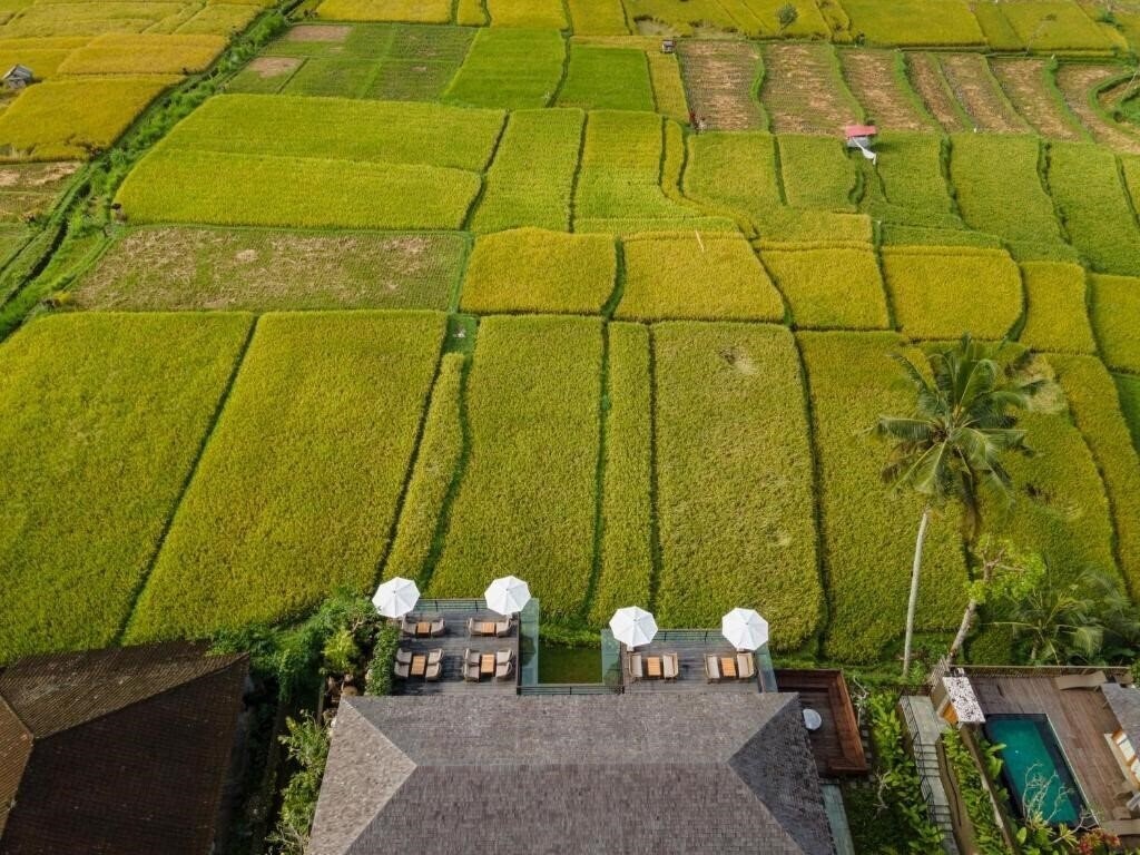 Zdjęcie Kappa Senses Ubud 5*