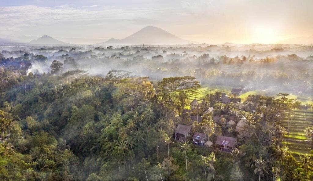 Zdjęcia Blue Karma Dijiwa Ubud 4*