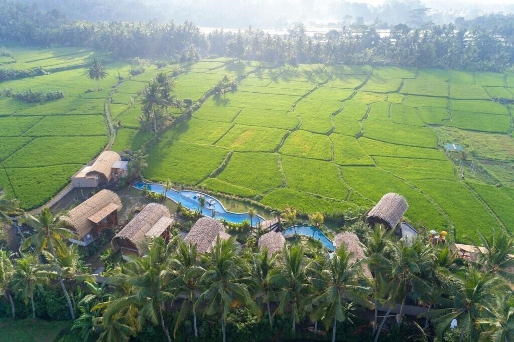 Hotel Beehouse Dijiwa Ubud 4*