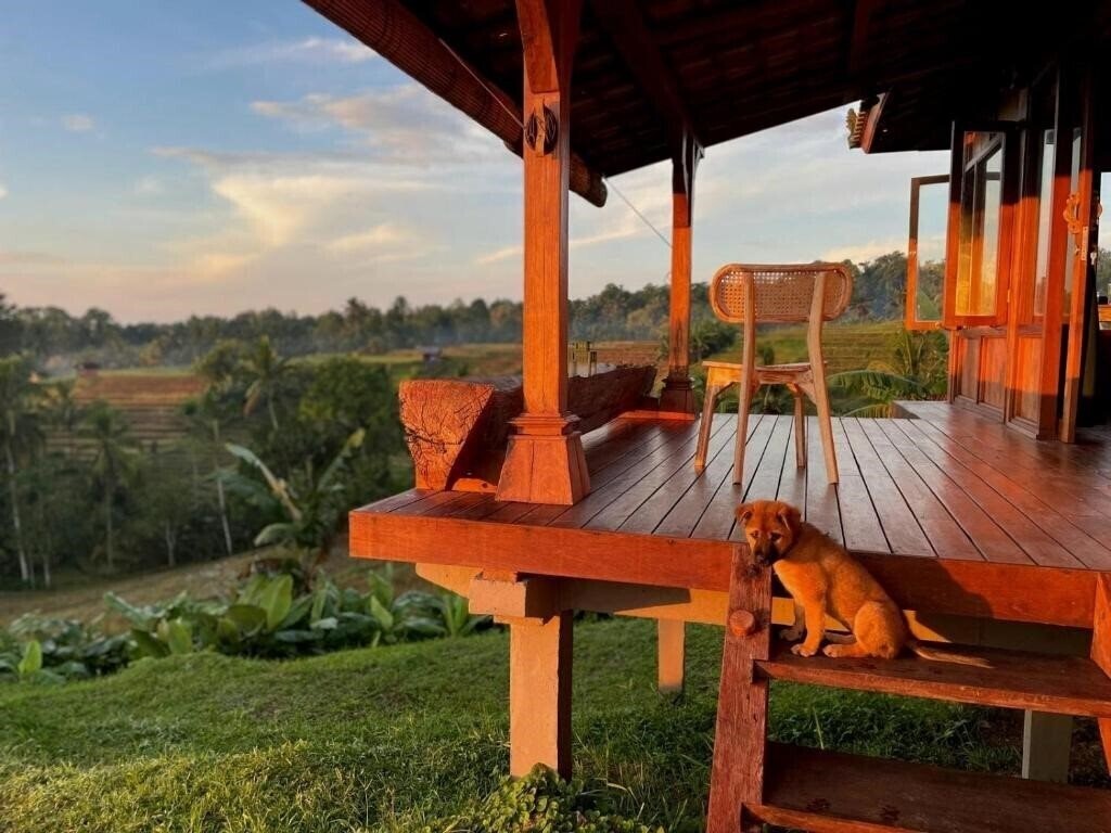 Zdjęcie Villa Pacung 4*