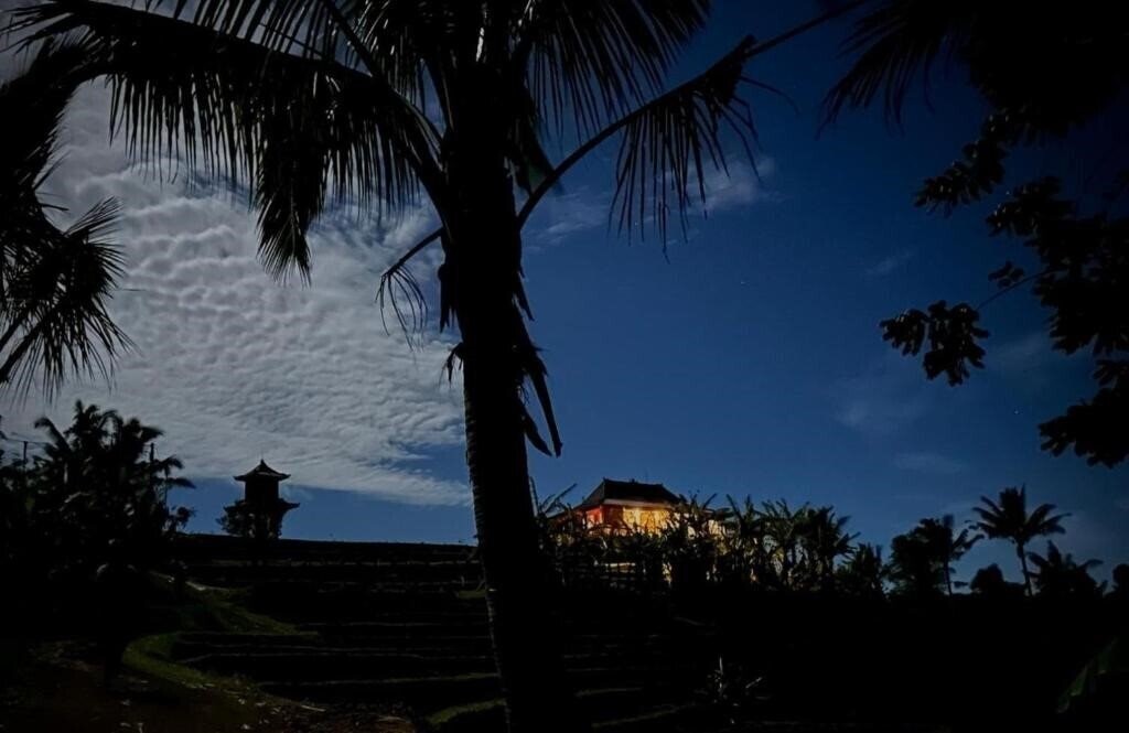 Hotel Villa Pacung 4*