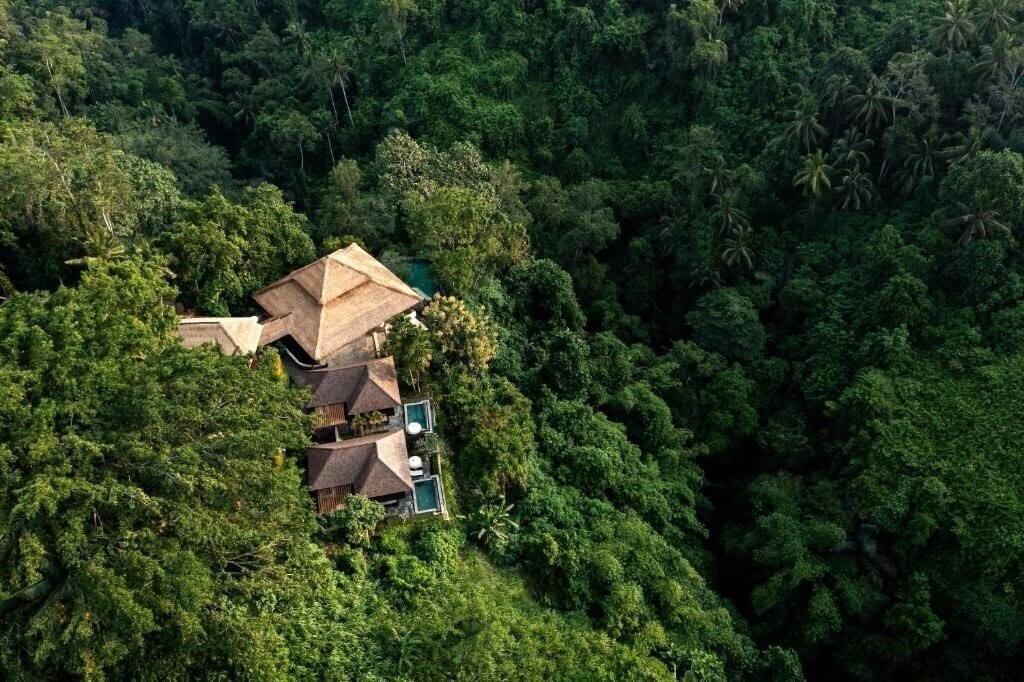 Картинка Natura Resort Ubud 4*