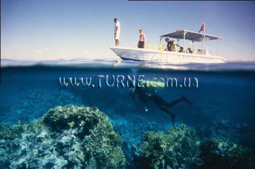 Зображення Mina 3*