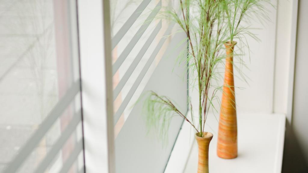 Zdjęcia Klopp Center Hotel 3*