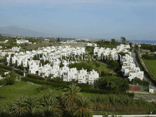 Obraz Los Pintores 3*