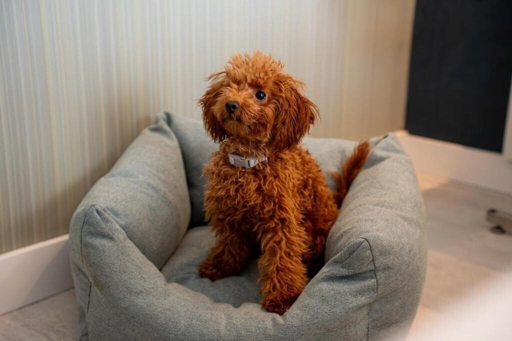 Zdjęcie Malaga Nostrum 3*