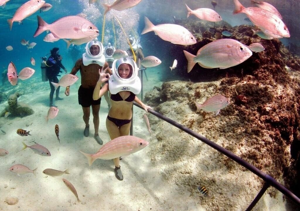 Фотографія Nervion 3*