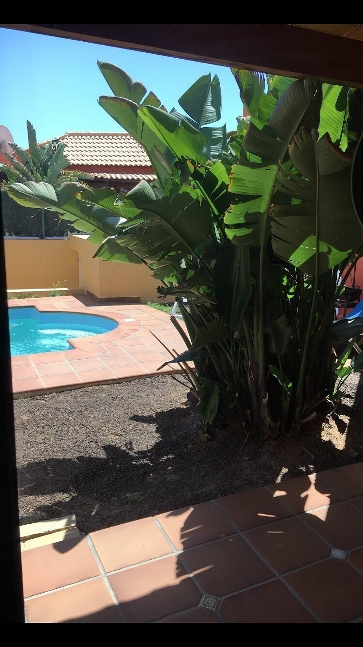 Zdjęcie Villas Brisas del Mar (ex. Labranda Brisas Del Mar) 3*