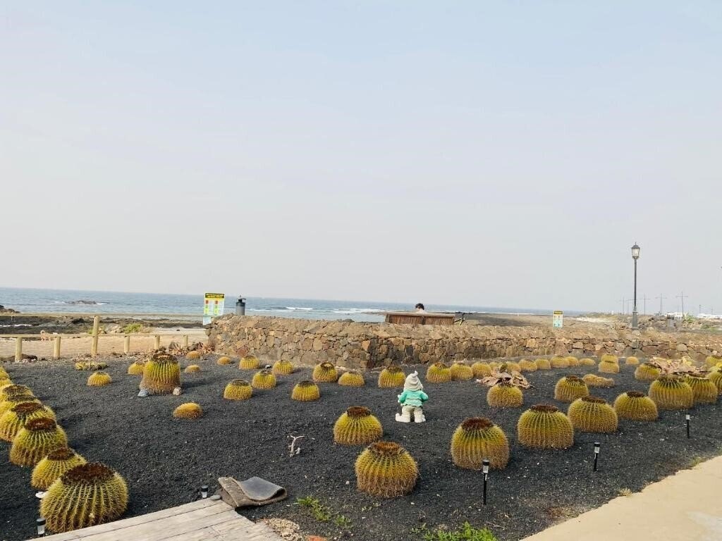 Картинка Mision Costa 3*