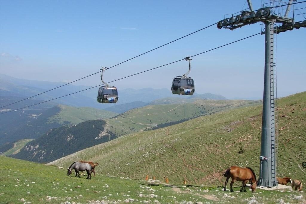 Obraz Apartamentos Solineu 3*