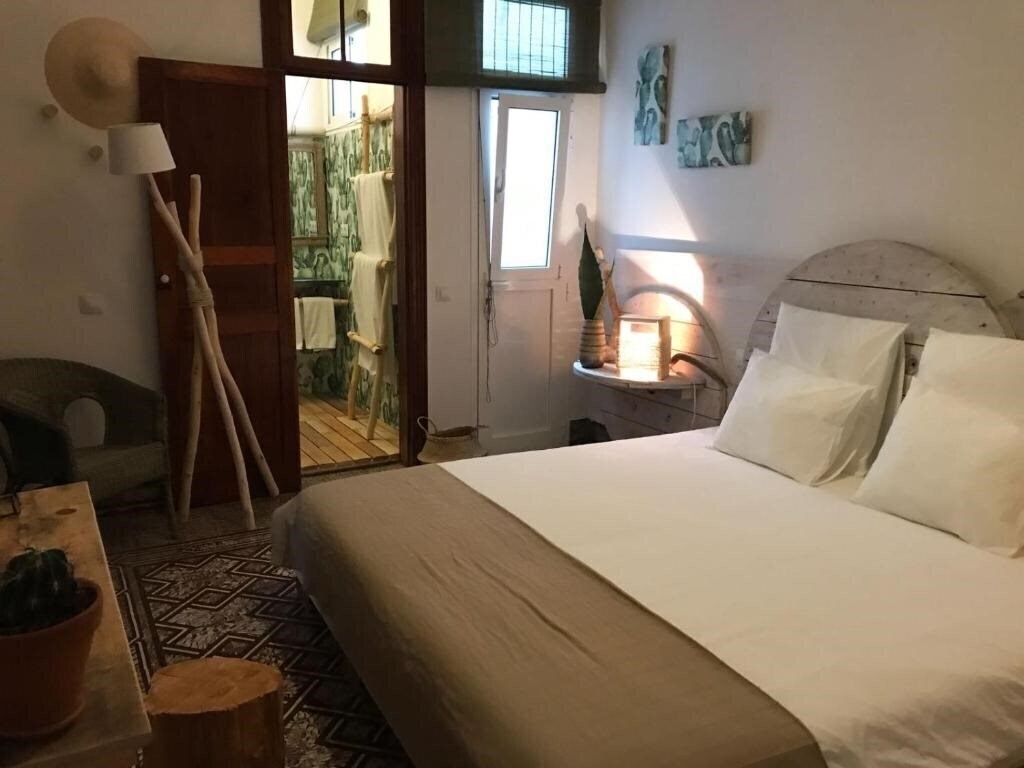 Зображення Cactus Host 2*