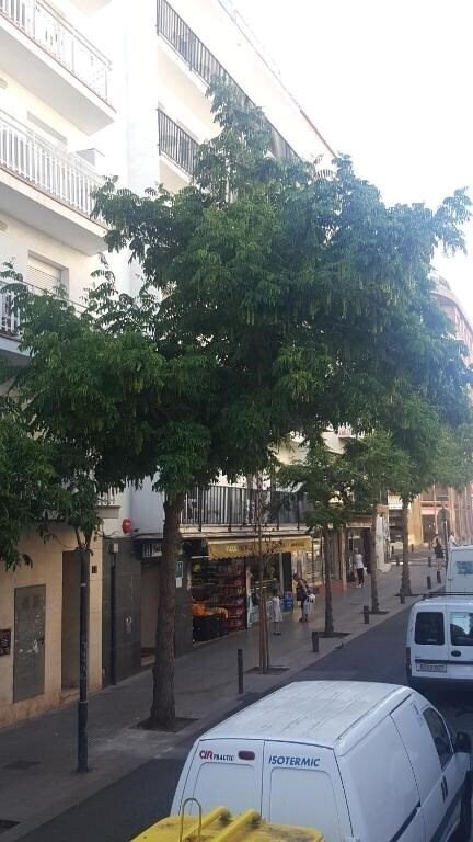 Zdjęcia Juan Ramon 1*